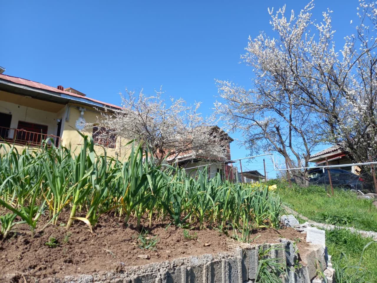 کلبه روستایی درچالوس مرزن اباد ییلاق فشکور